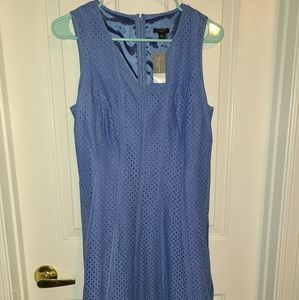 Ann Taylor NWTs size 8P dress